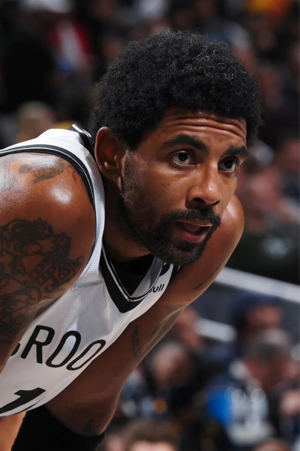 这些球员由 这些球员由