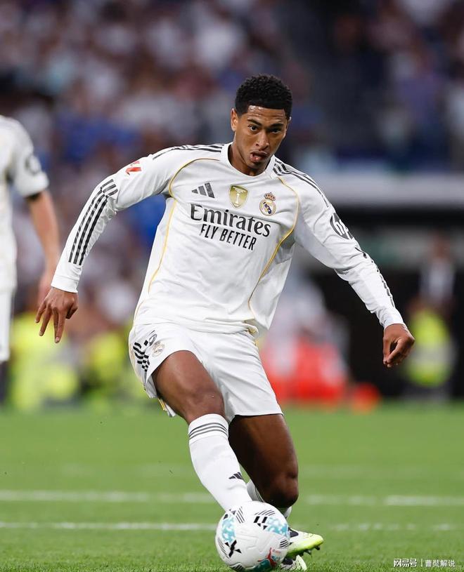 影响事项 影响事项